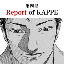 Report of KAPPE