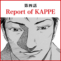 Report of KAPPE